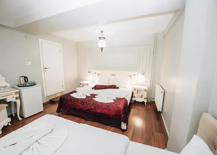 Safran Appart hôtel 3*